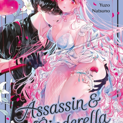 Assassin  Cinderella 02
