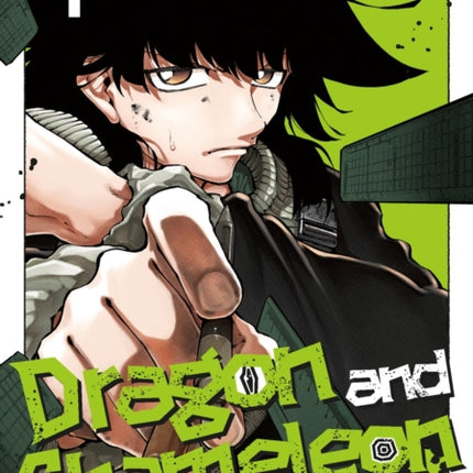 Dragon and Chameleon 04