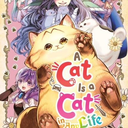 A Cat Is a Cat in Any Life