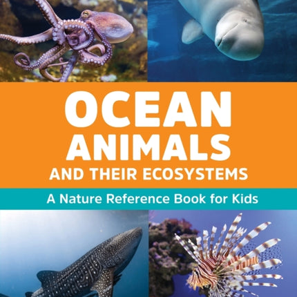 Ocean Animals and Their Ecosystems: A Nature