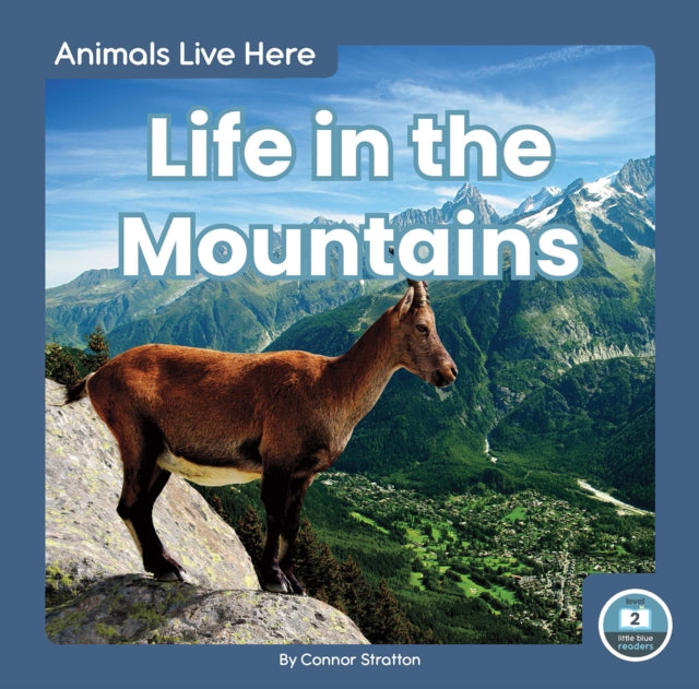 Animals Live Here: Life in the Mountains