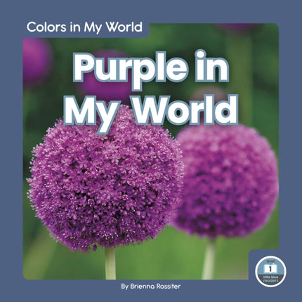 Colors in My World: Purple in My World