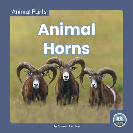 Animal Parts: Animal Horns