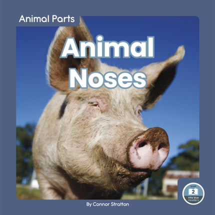 Animal Parts: Animal Noses