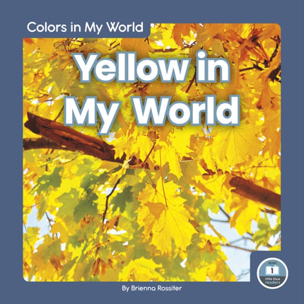 Colors in My World: Yellow in My World