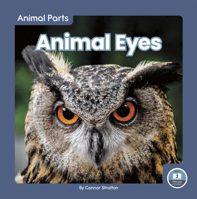 Animal Parts: Animal Eyes