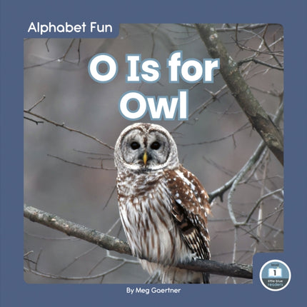 Alphabet Fun: O is for Owl