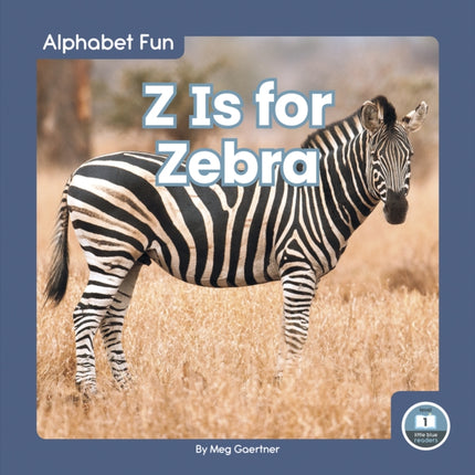 Alphabet Fun: Z is for Zebra