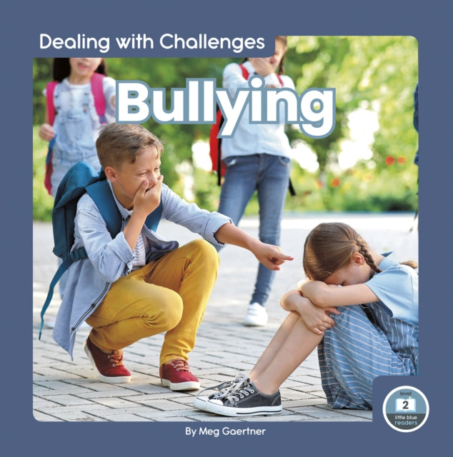 Dealing with Challenges: Bullying