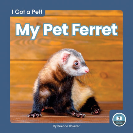 I Got a Pet! My Pet Ferret