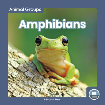 Animal Groups: Amphibians