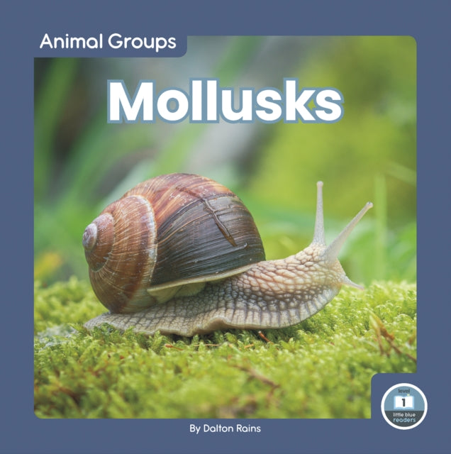 Animal Groups: Mollusks