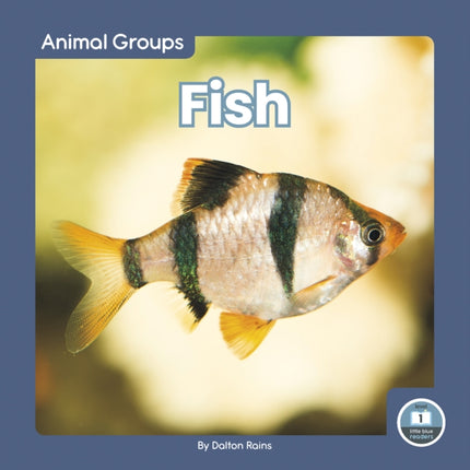 Animal Groups: Fish