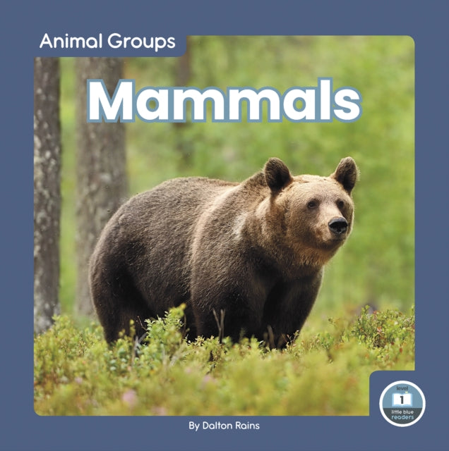 Animal Groups: Mammals