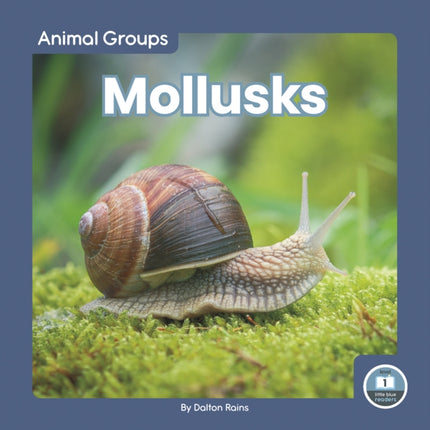 Animal Groups: Mollusks