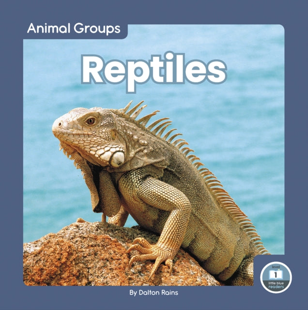 Animal Groups: Reptiles