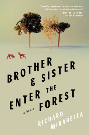 Brother & Sister Enter The Forest: A Novel