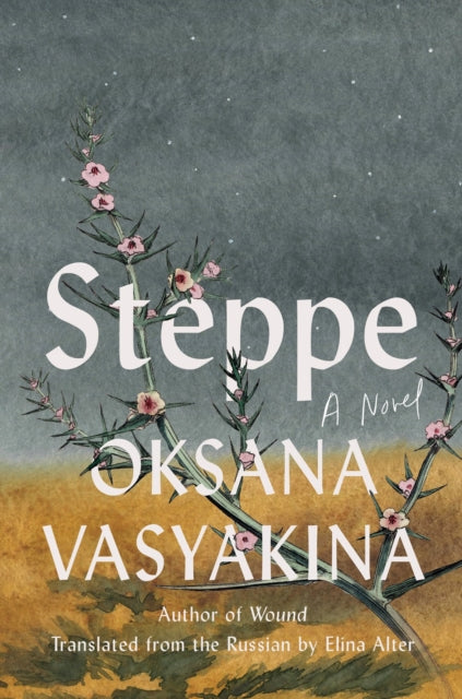 Steppe