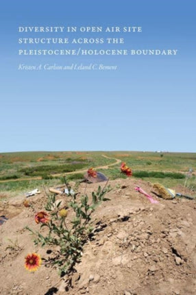 Diversity in Open-Air Site Structure Across the