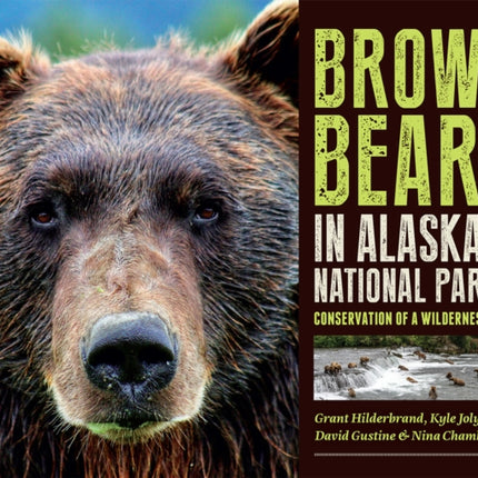 Brown Bears in Alaskas National Parks