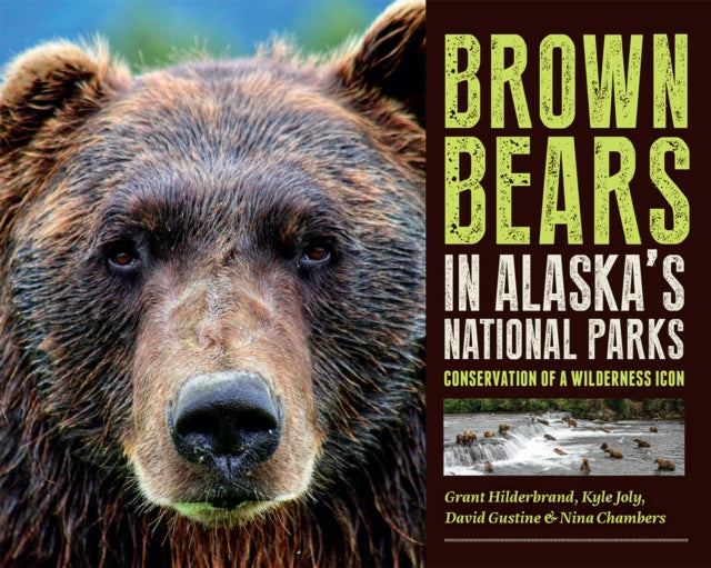 Brown Bears in Alaskas National Parks