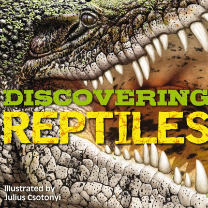 Discovering Reptiles: The Ultimate Handbook to the Reptiles of the World!