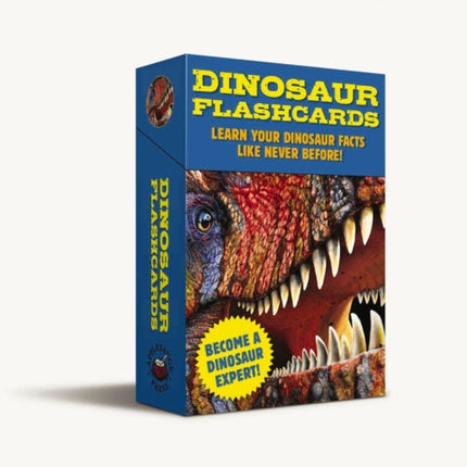 Dinosaur Flashcards: 60 Roaring Dinosaur Profiles!