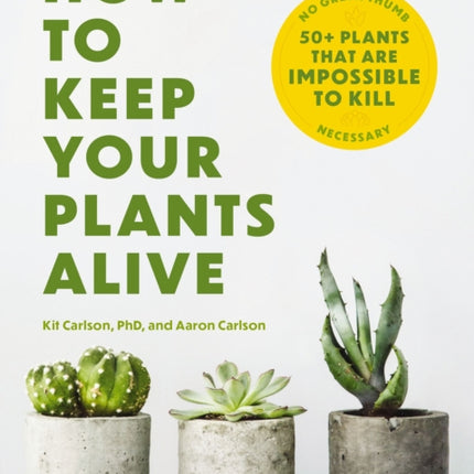 How to Keep Your Plants Alive: 50 Plants That Are Impossible to Kill