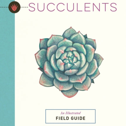 Succulents: An Illustrated Field Guide