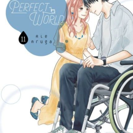 Perfect World 11