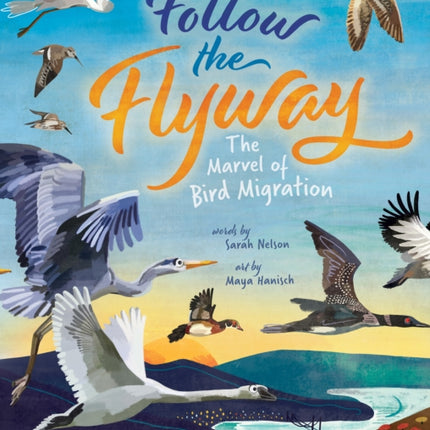 Follow the Flyway: The Marvel of Bird Migration