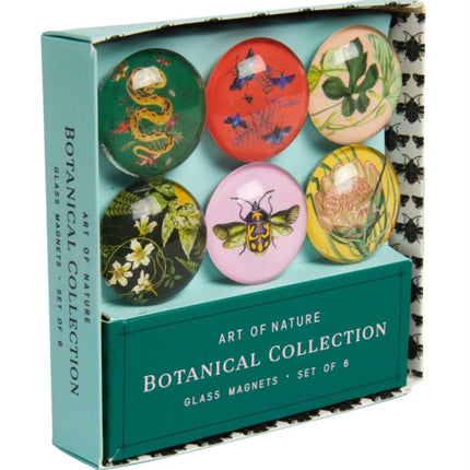 Art of Nature: Botanical Glass Magnet Set: Set of 6