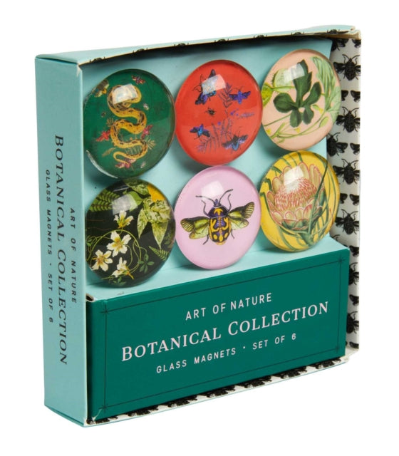 Art of Nature: Botanical Glass Magnet Set: Set of 6