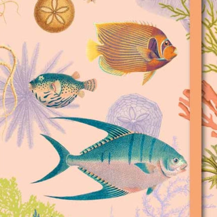 Art of Nature: Under the Sea Softcover Notebook 