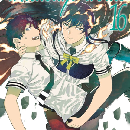 Witchcraft Works 16