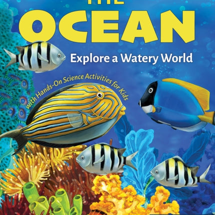 The Ocean
