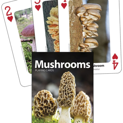 Mushrooms Playing Cards