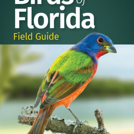 Birds of Florida Field Guide