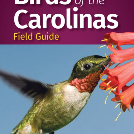 Birds of the Carolinas Field Guide