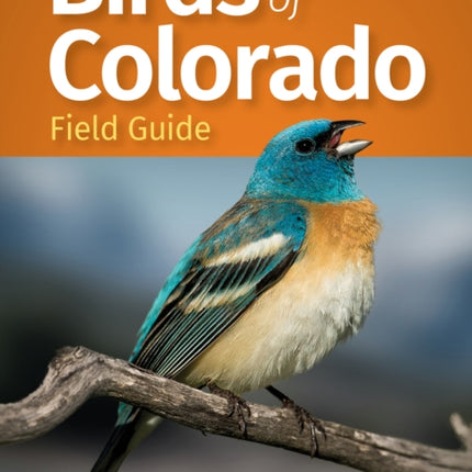 Birds of Colorado Field Guide