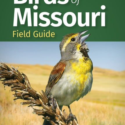 Birds of Missouri Field Guide