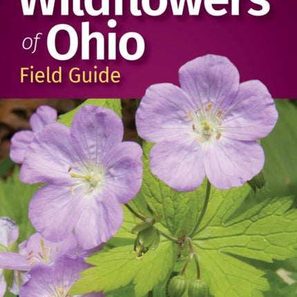 Wildflowers of Ohio Field Guide