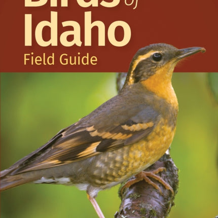 Birds of Idaho Field Guide