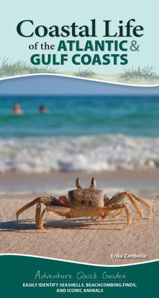 Coastal Life of the Atlantic and Gulf Coasts: Easily Identify Seashells, Beachcoming Finds, and Iconic Animals