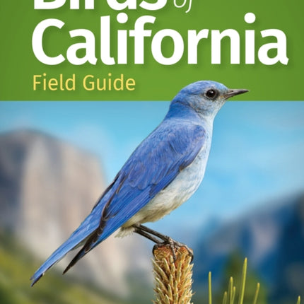 Birds of California Field Guide