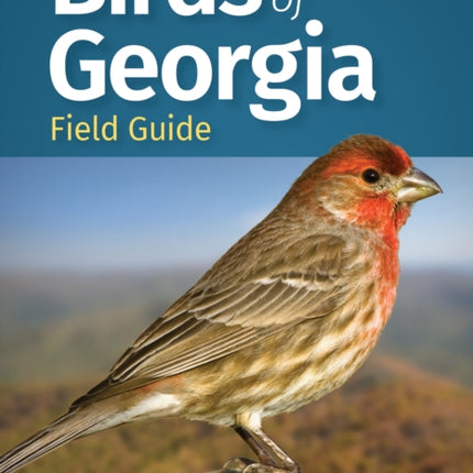 Birds of Georgia Field Guide