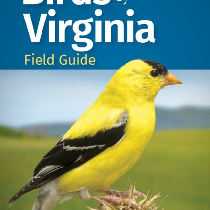 Birds of Virginia Field Guide