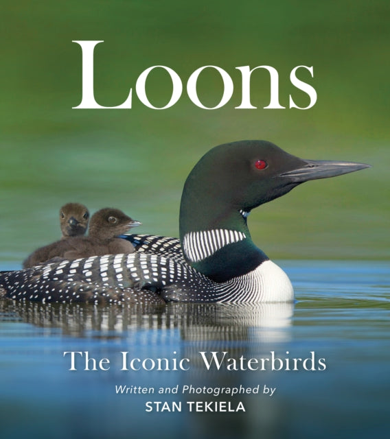 Loons: The Iconic Waterbirds