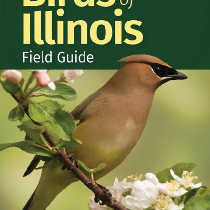 Birds of Illinois Field Guide