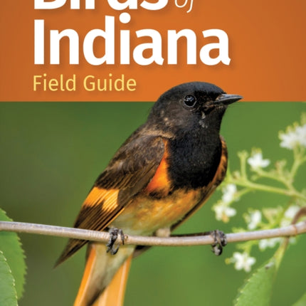 Birds of Indiana Field Guide